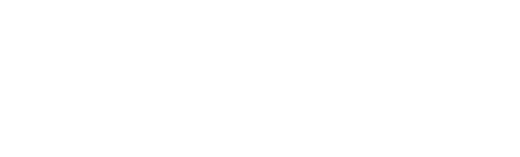 Fashionist